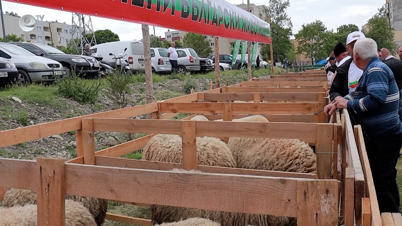 Организират „Фармфест“ Момчилград за трета поредна година