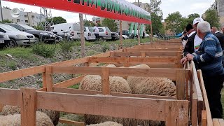 Организират „Фармфест“ Момчилград за трета поредна година