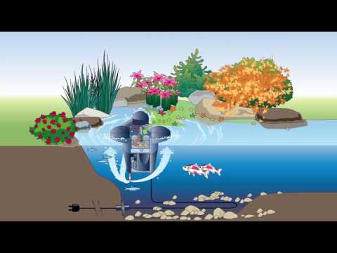 SwimSkim - What's in the Box?