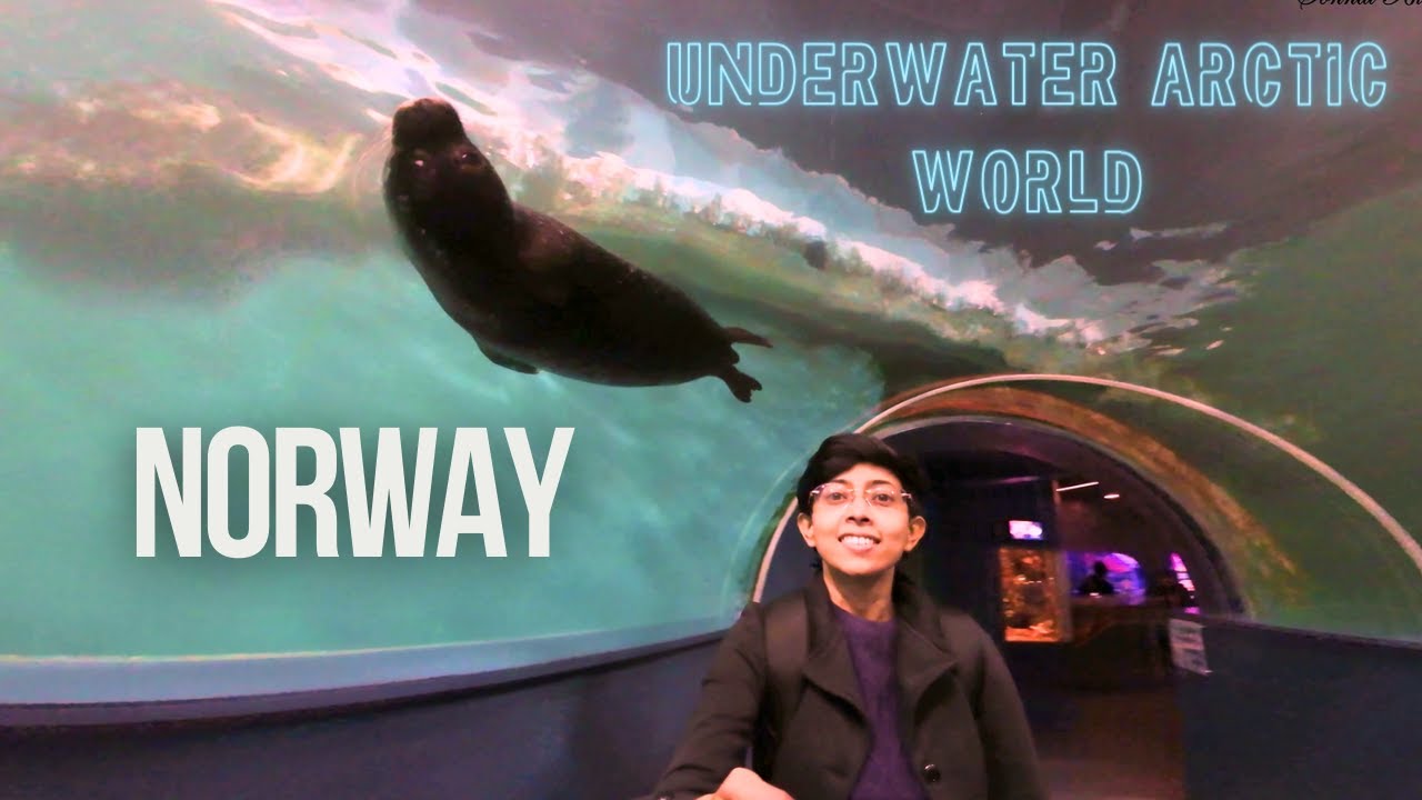 A traveler embarks on a visit to Polaria aquarium.