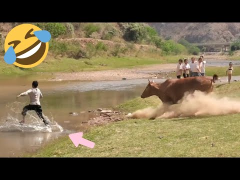 ????????Best Funny Videos compilation Of The Month ???? TRY NOT TO LAUGH #9