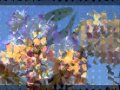 Put A Little Love Away by Sergio Mendes