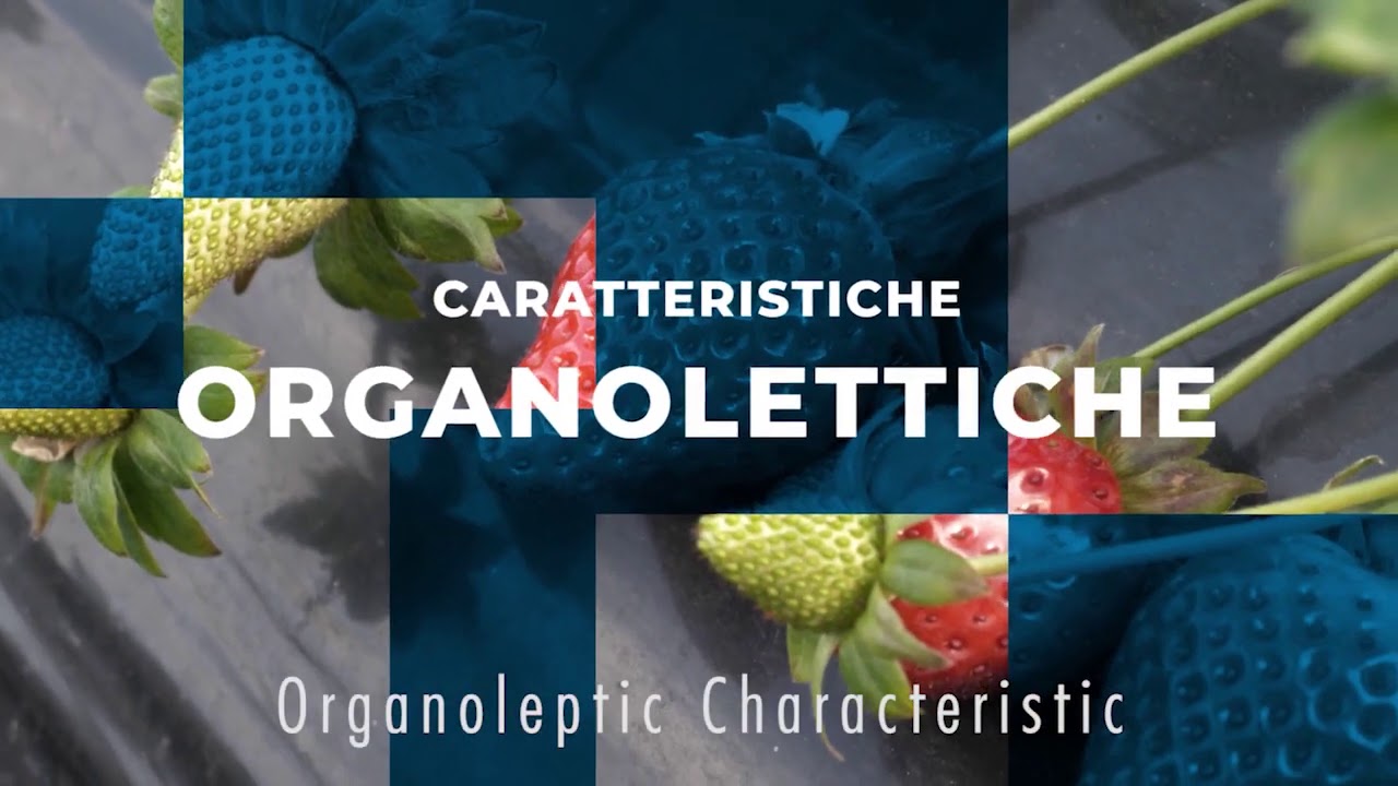 Nova Siri Genetics for MacFrut Digital 2020