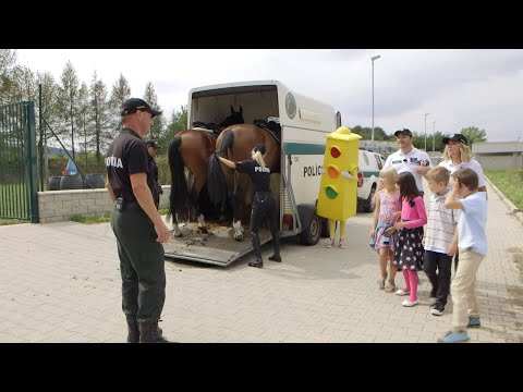 STOJ! POZOR! CHOĎ #2 "Zvierací pomocníci"