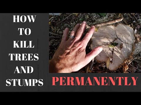 How to Kill trees, stumps, shrubs the easy way, and stop regrowth / sprouting permanently.