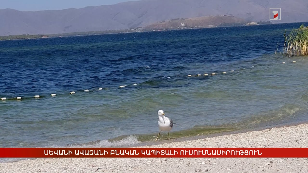 Սևանի ավազանի բնական կապիտալի ուսումնասիրություն