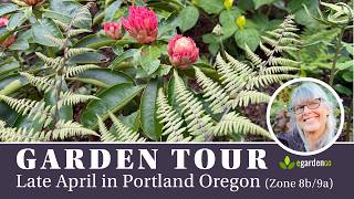 Full Garden Tour — Late April 2026 | Portland Zone 8b