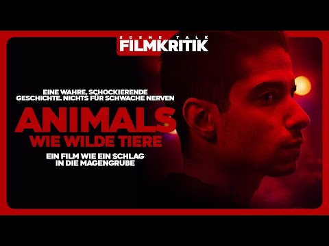 ANIMALS - WIE WILDE TIERE | Kritik/Review | Ein Schlag in die Magengrube #GayRights #TansRights