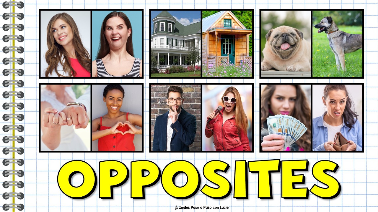 Opuestos en Inglés | Vocabulario Básico para Principiantes