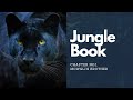The Jungle Book Chapter 1 Mowgli S Brothers Summary