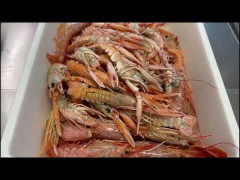 Ristorante Pizzeria Bar San Marco | +39 342 8056725