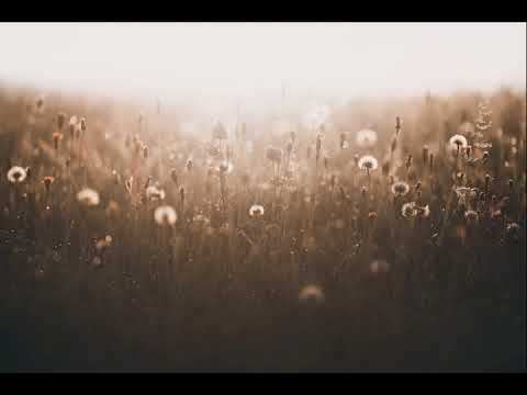 Uchronia - Perpetual Love [Chillstep]