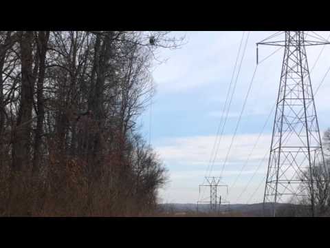 JCP&L Aerial Saw In Action