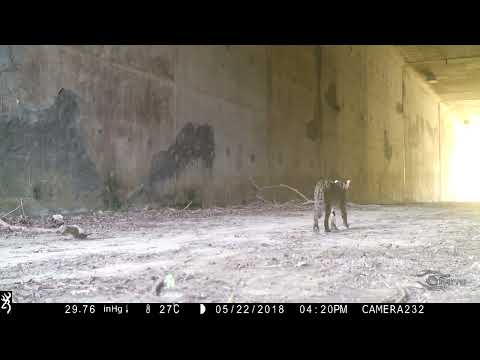 Shihu 180522 16:20 Tongji 15 Condado de Miaoli Cidade de Tongxiao 0257