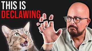 The Truth About Declawing Cats
