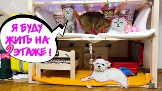 УКРАШАЕМ ПЯТИЭТАЖНЫЙ ДОМ ДЛЯ ЖИВОТНЫХ | РУМ-ТУР ЗВЕРОДЕТОК