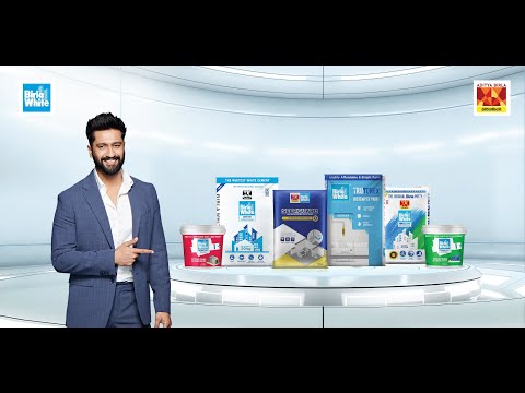 Birla White Wallcare Wall Putty