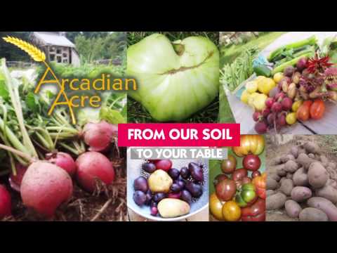 Midair Studio video.