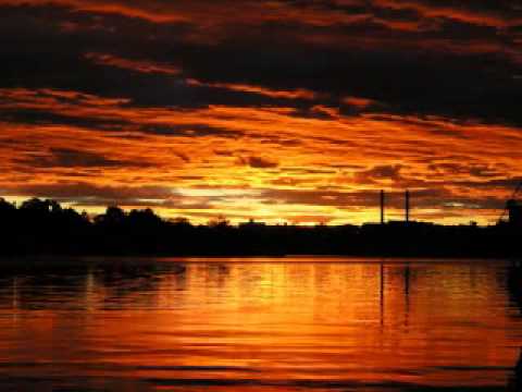 Kissy Sell Out - Garden Friends (Laidback Luke edit) (ripped from Tiesto's Club Life)