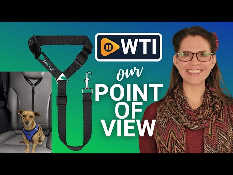 BWOGUE Pet Seat Belts - WTI product video review