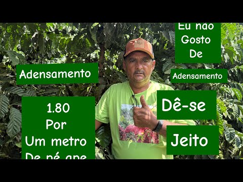 Quanto vc for plantar café não planta no adensamento 