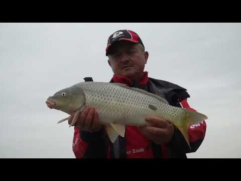 Benzar Mix Universal Bolo 6m 20-50g