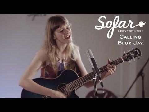 Calling Blue Jay - The Saltiest Sea | Sofar London