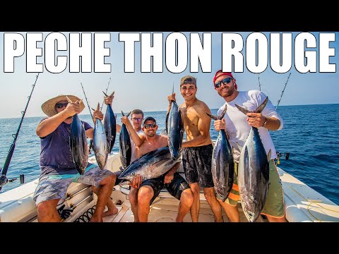 Bluefin Tuna Fishing! Incredible Experience! (Fish/Eat)