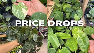 🌿FINALLY Restocked! New Plants + AND Price Drops 😲
