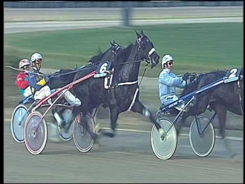 Trotto 11/12/2016 - 4ª corsa