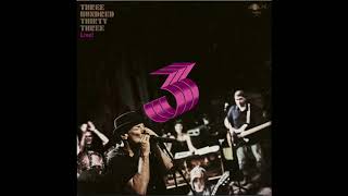 Video 333   -  V stínu kapradiny