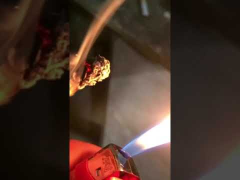 CaLii - Ton naten na ki😝