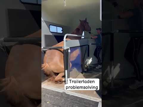 Trailer laden. Oplossing op mijn kanaal! #lovemysubscribers #horsetrainer #paard #horsemanship