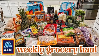 ALDI GROCERY SHOPPING HAUL//weekly groceries for family of 5