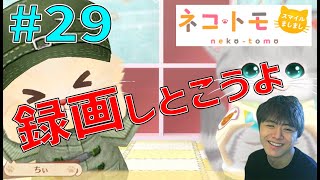 ねことも ～見たいテレビと家族との遊び、どっち優先する？～【ネコトモ スマイルましまし 実況 #29】