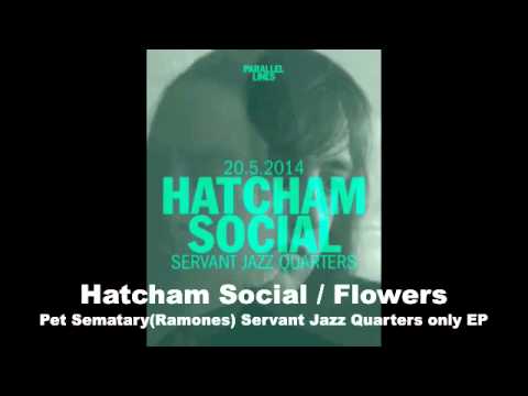 Hatcham Social / Flowers - Pet Sematary (The Ramones)