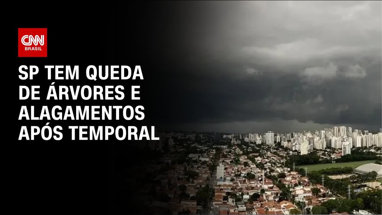 SP tem queda de árvores e alagamentos após temporal | AGORA CNN