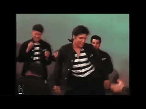 Elvis Presley - Jailhouse Rock (WITHOUT MUSIC)