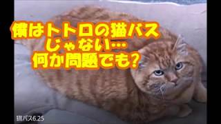 【世界で話題】驚きの動物たちに笑いが止まらない