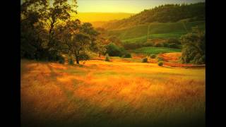 Sweet Cailfornia Can&#39;t Stop (Aerosmith x 2pac x Griz x Young Gunz) - ScottScottScott