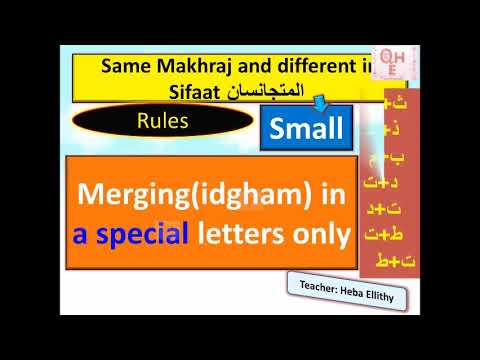 8- AL-MOUTAGANISAN   SAGHEER المتجانسان الصغير