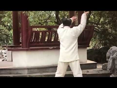 Master Wang Ming Bo Yang Style Taiji Form Demonstration Clip
