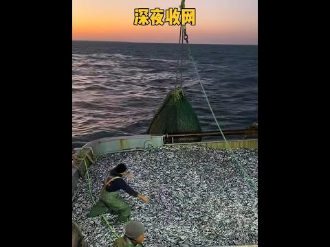 深夜大海的震撼收穫：漁民冒險回收超巨型漁網全紀錄 #捕魚 #戶外 #紀錄片 #爆網