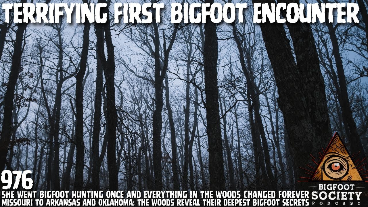 Witnesses Encounter Massive Bigfoot in Missouri Forest and Walk Away Forever Changed