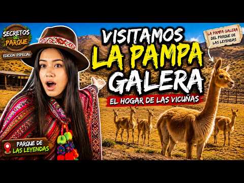¡ENTRAMOS AL HOGAR DE LAS VICUÑAS! | ASÍ ES LA PAMPA GALERAS DEL PARQUE DE LAS LEYENDAS