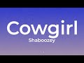 Shaboozey Cowgirl Lyrics