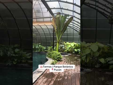 Pucón / Chile / termas