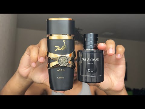 Is THIS The Best CLONE Fragrance? Lattafa Asad Fragrance Review