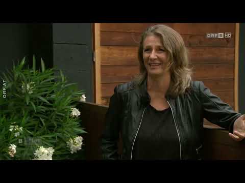 Porträt von Birgit Denk - 20221026 ORF Burgenland