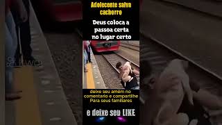 Adolescente salva cachorro